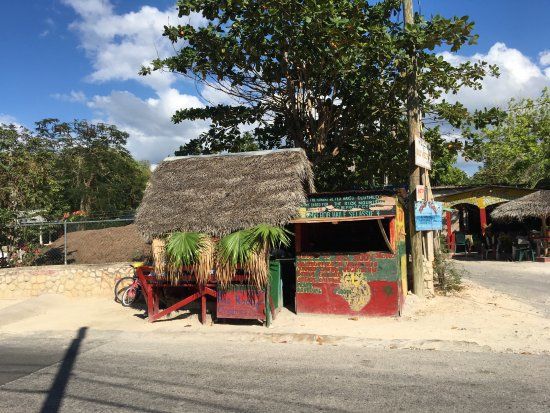 Ras Rody's Roadside Organic